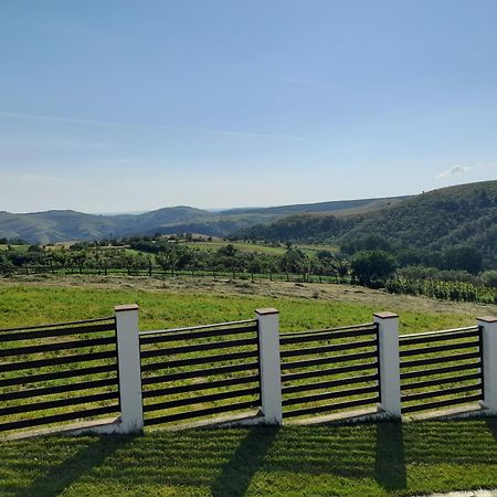 Vila Aloman Sebeş المظهر الخارجي الصورة