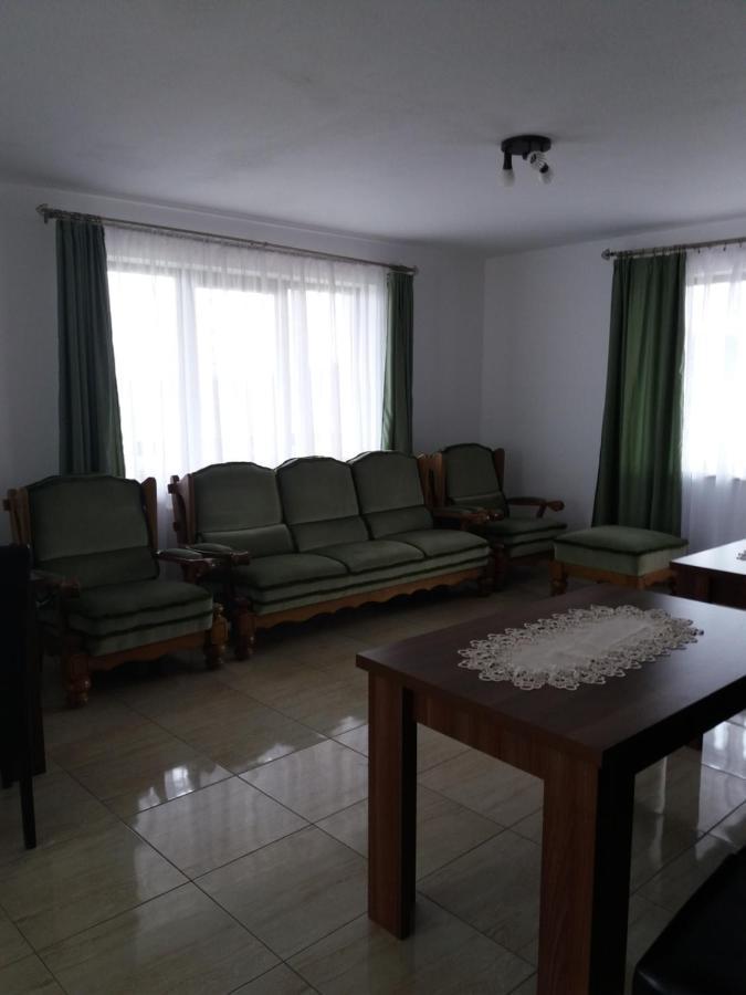 Vila Aloman Sebeş المظهر الخارجي الصورة